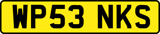 WP53NKS