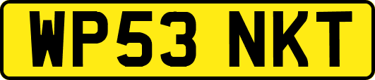 WP53NKT
