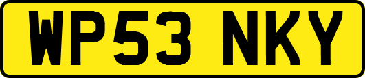 WP53NKY