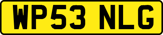 WP53NLG