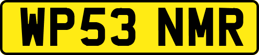 WP53NMR