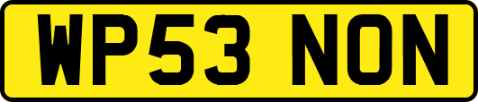 WP53NON