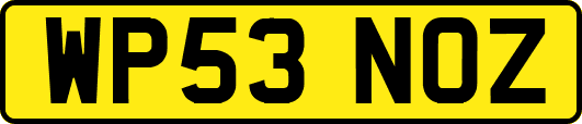 WP53NOZ