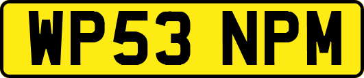 WP53NPM