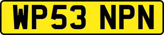 WP53NPN