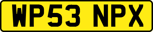 WP53NPX