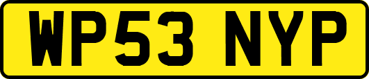 WP53NYP