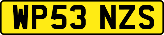 WP53NZS