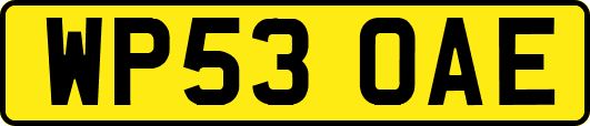 WP53OAE