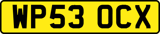 WP53OCX