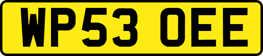 WP53OEE