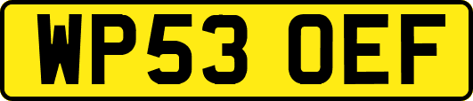 WP53OEF