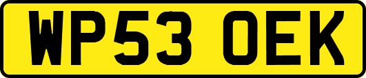 WP53OEK