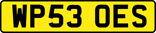 WP53OES