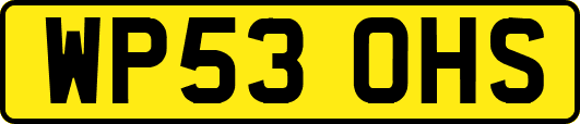 WP53OHS