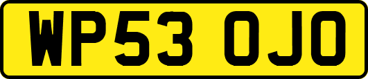 WP53OJO