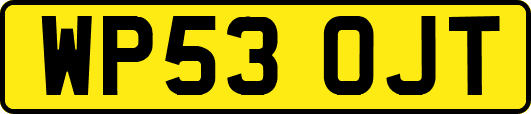 WP53OJT