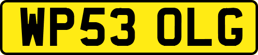 WP53OLG