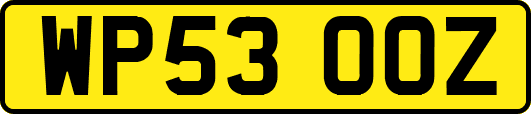 WP53OOZ