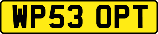 WP53OPT