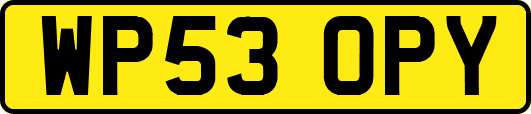 WP53OPY