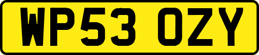 WP53OZY