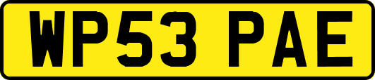 WP53PAE