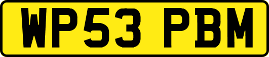 WP53PBM