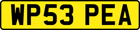WP53PEA