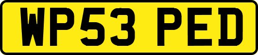 WP53PED