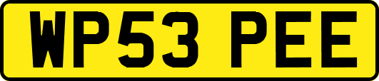 WP53PEE
