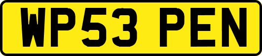 WP53PEN
