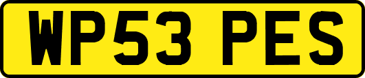 WP53PES