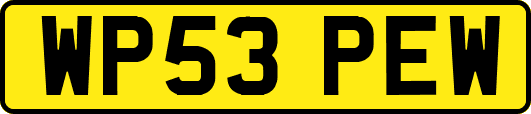 WP53PEW