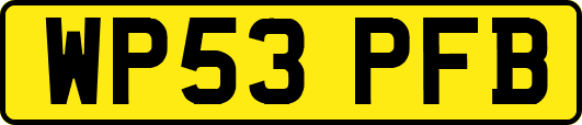 WP53PFB