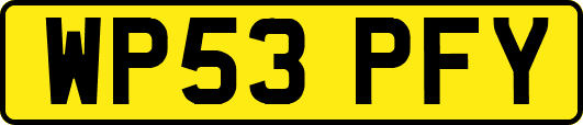 WP53PFY