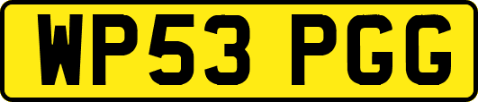 WP53PGG