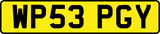 WP53PGY