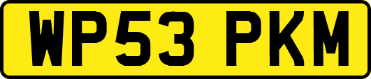 WP53PKM