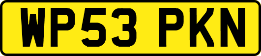 WP53PKN