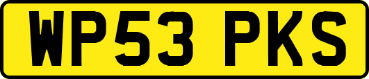 WP53PKS
