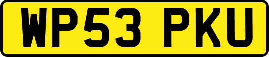 WP53PKU