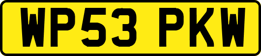 WP53PKW