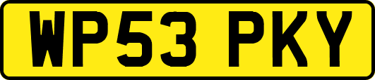 WP53PKY