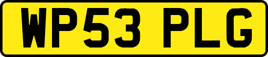 WP53PLG
