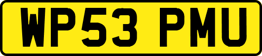 WP53PMU