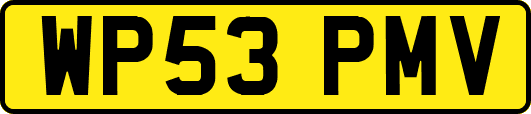 WP53PMV