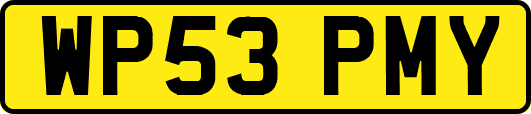 WP53PMY