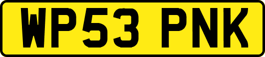 WP53PNK