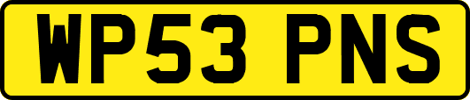 WP53PNS